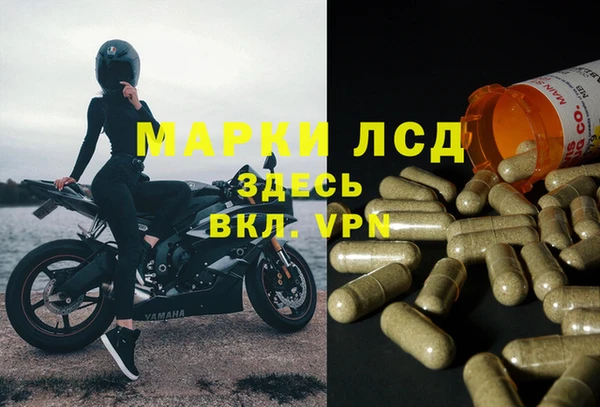 метадон Алексин