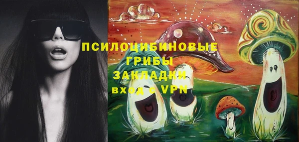 прущий лед Алзамай