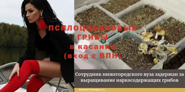 гидра Алексеевка