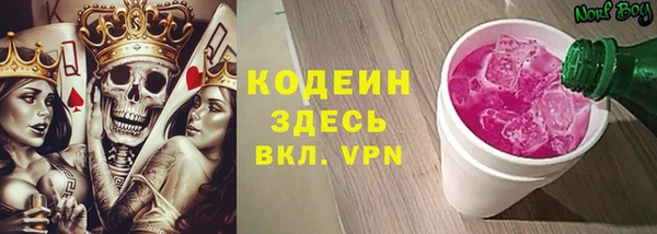метадон Алексин