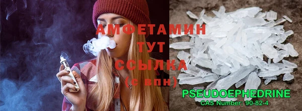 гидра Алексеевка