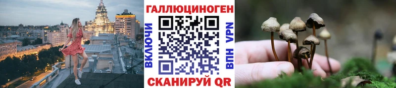 Псилоцибиновые грибы GOLDEN TEACHER  Купить где  Кочубеевское 