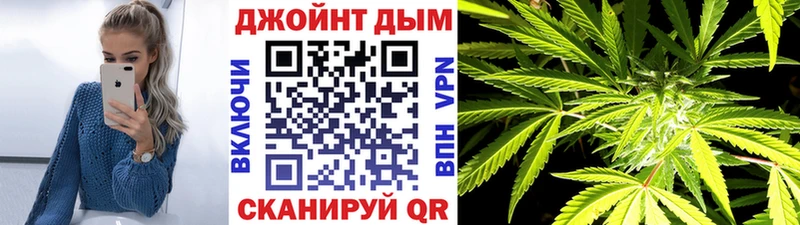 Купить где  Кочубеевское  Бошки Шишки Amnesia 